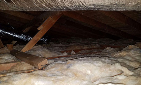 Call Now | Attic Cleaning Hollywood CA