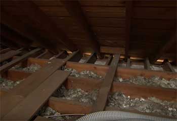 Rodent Proofing Installed | Attic Cleaning Hollywood, CA